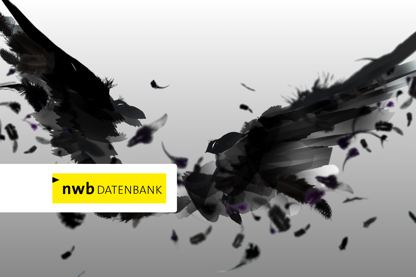 NWB RABE 1920X1080px