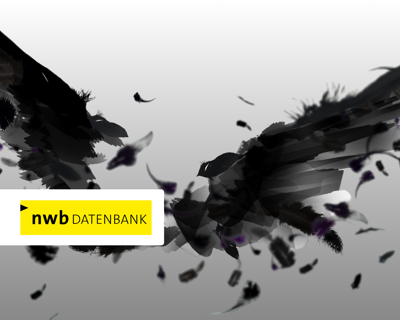 NWB RABE 1920X1080px