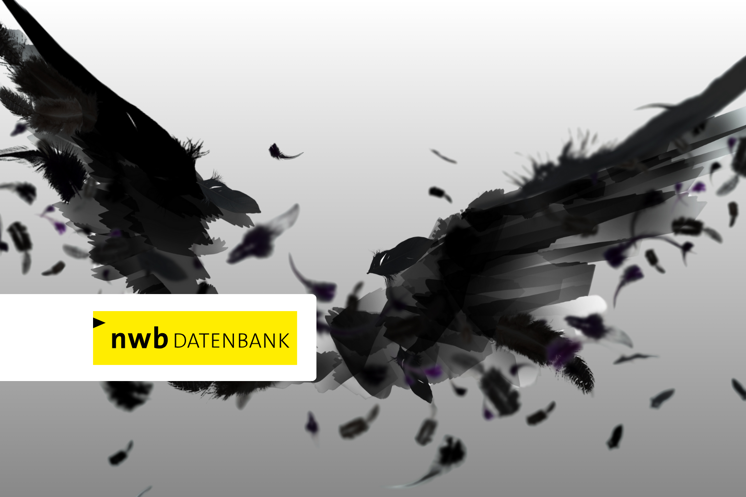 NWB RABE 1920X1080px