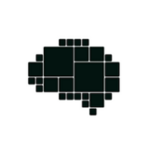 Blockbrain LOGO 160X160px