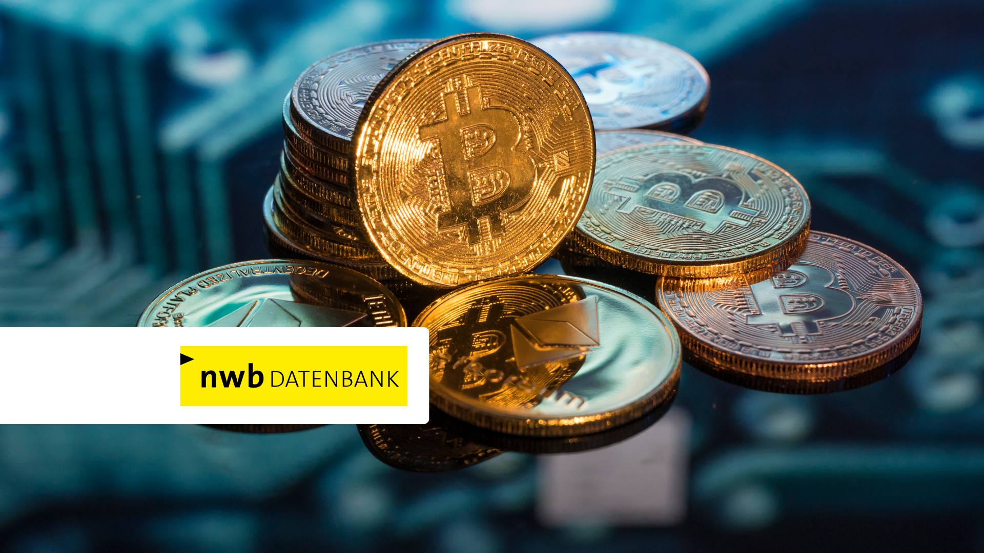 BMF-Schreiben 2025: Neue Pflichten bei Kryptowerten | tax & bytes